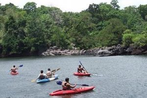 Kayaking